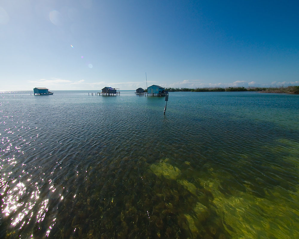 Nota sobre Banco Chinchorro, una maravilla coralina en Quintana Roo