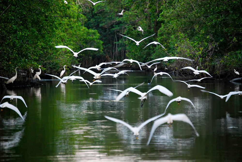 Nota sobre Campamento Ecoturístico Yaxché en Quintana Roo