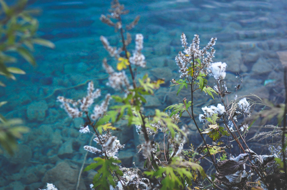 Nota sobre Atrévete a disfrutar el paraíso natural en Oaxtepec