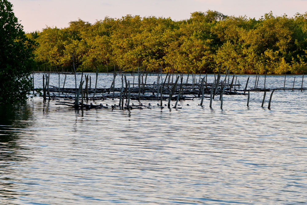 Imagen de San Blas