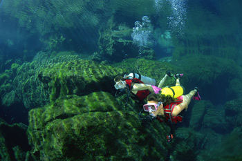 Nota sobre Cenotes: Los Sagrados Pozos Mayas 