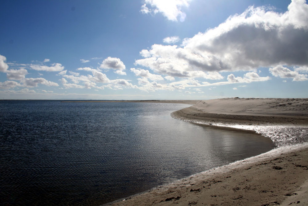 Imagen de Guerrero Negro