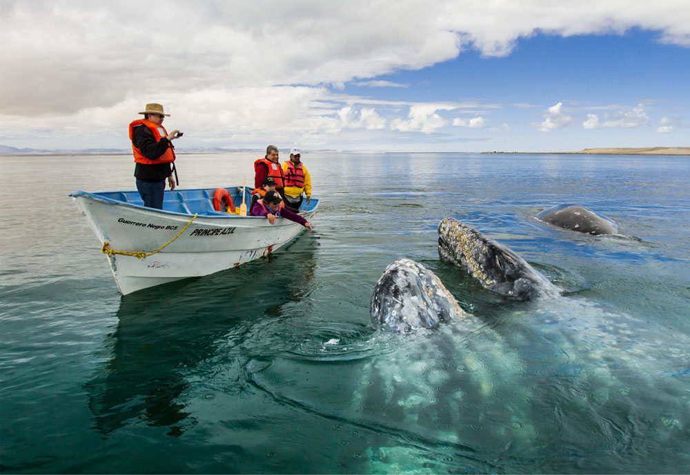 Imagen de Bahía Magdalena