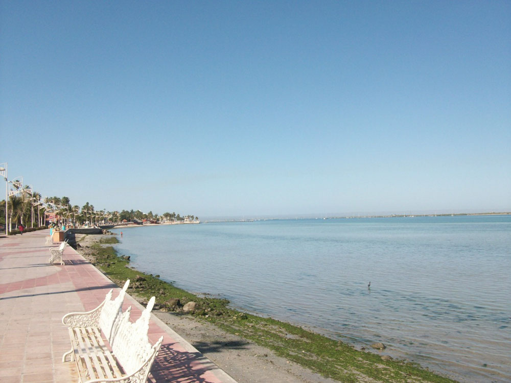 Imagen de Malecón Álvaro Obregón