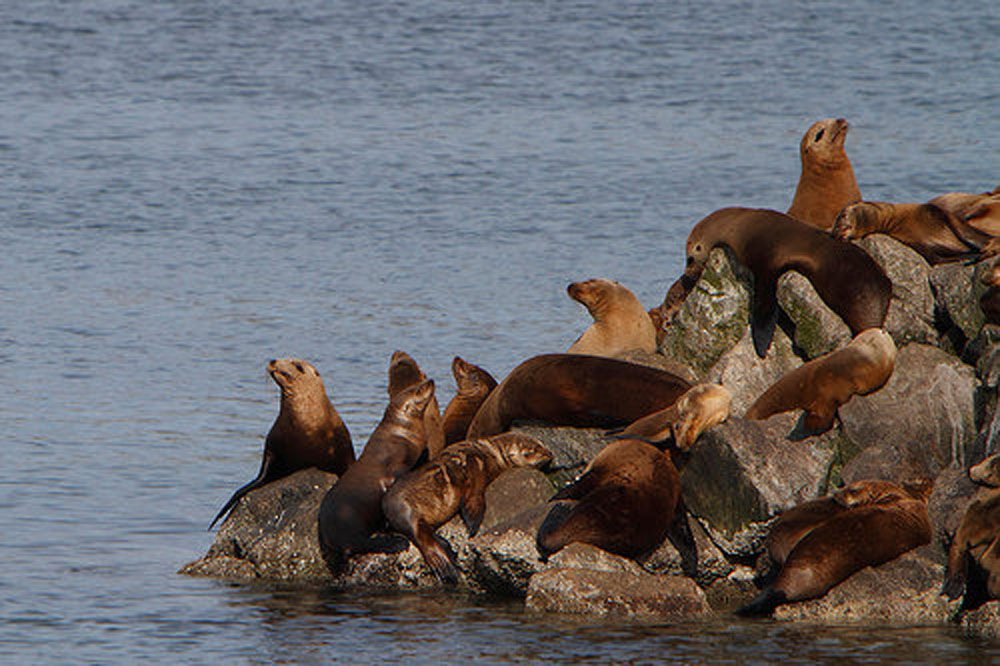 Imagen de Isla del Farallón