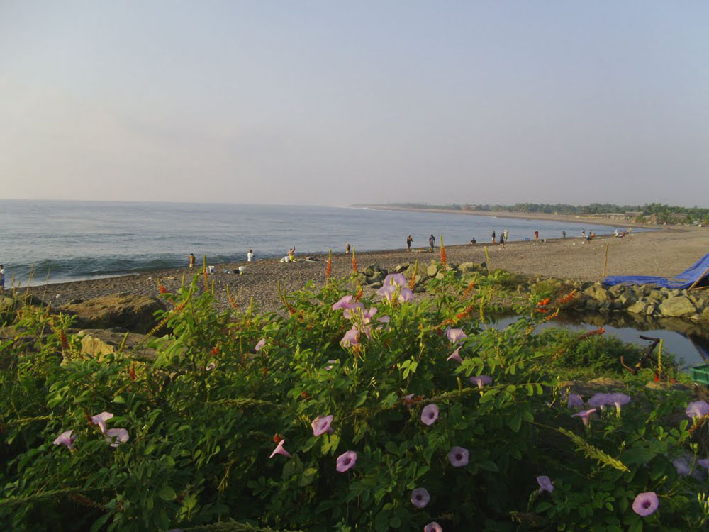 Imagen de Bahía de Petacalco