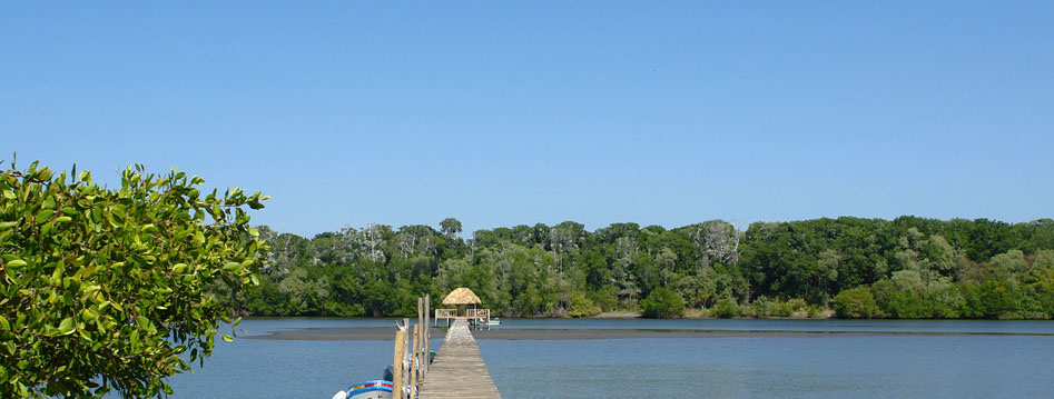 Imagen de Bahía de Paredón