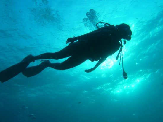 Nota sobre ¿Por qué Hacer un Curso de Buceo Estando en el D.F?