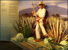 Nota sobre Tequila Herradura Museo Sensorial