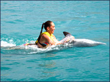 Nota sobre Programa Interactivo con Delfines Dolphinaris