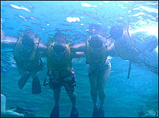 Nota sobre Buceo con Delfines Cozumel "Dolphin Discovery