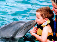 Nota sobre Dolphin Encounter en Isla Mujeres Dolphin Discovery