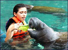 Nota sobre Sea Life Discovery Isla Mujeres "Dolphin Discovery"