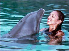 Nota sobre Nado con Delfines"Cabo Dolphins"