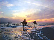 Nota sobre Cena al Atardecer SunRider