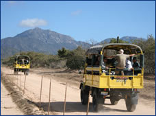 Nota sobre 4x4 Safari por el Desierto