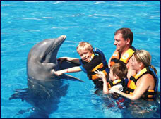 Nota sobre Dolphin Royal Swim Puerto Vallarta "Dolphin Discovery"