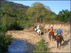 Nota sobre Paseo a caballo en Hacienda Divisadero