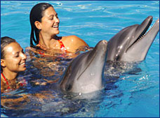 Nota sobre Experiencia de Nado con Delfines "Vallarta Adventure"