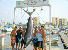 Nota sobre Tour Pesca en Mexican Sportfisher de 37 pies