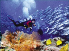 Nota sobre Buceo para Certificados en El Morro