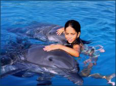 Nota sobre Encuentro con Delfines "Vallarta Adventure"