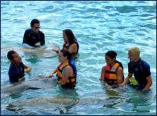 Nota sobre Dolphin Royal Swim Puerto Aventuras"Dolphin Discovery"