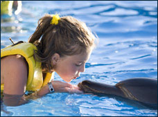 Nota sobre Entrenador por Un Día Platinum Dolphinaris Grand