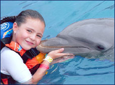 Nota sobre Dolphin Swim Adventure Puerto Aventuras"Dolphin Discovery "