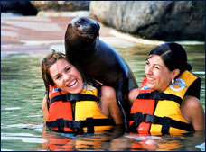 Nota sobre Sea Life Discovery Plus Puerto Aventuras"Dolphin Discovery"