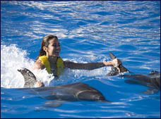 Nota sobre Nado con Delfines Dolphinaris Grand