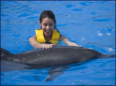 Nota sobre Nado con Delfines Dolphinaris Grand