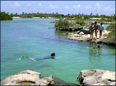 Nota sobre Nado y Paseo con Delfines Dolphinaris Grand