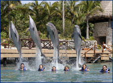 Nota sobre Primax Delphinus Riviera Maya