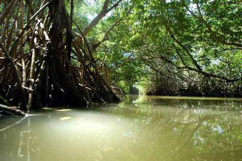 Nota sobre Disfruta de la laguna Nichupté en Cancún 