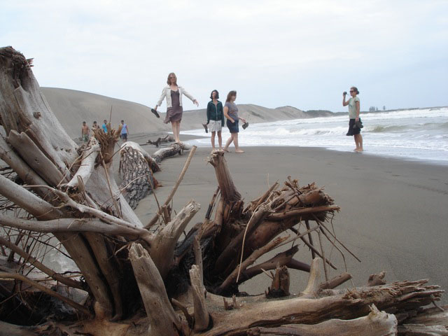 Nota sobre Bellas playas de Nayarit 