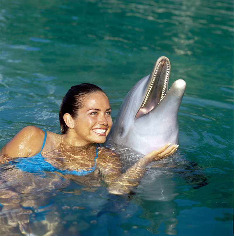 Nota sobre Nado con delfines en Cancun y Riviera Maya