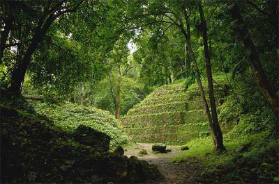 Nota sobre Cancun Riviera Maya y el tour de la Selva Maya