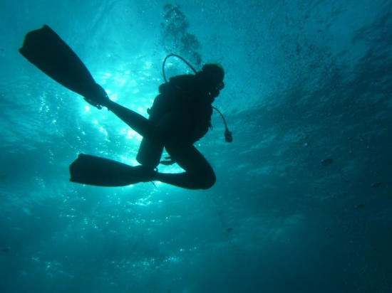 Nota sobre Buceo para principiantes en Puerto Vallarta 