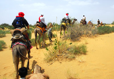 Nota sobre Safari en Camello y Paseo por el Desierto en Los Cabos