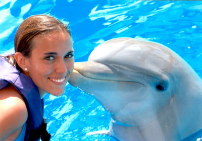 Nota sobre Nado con delfines en Los Cabos