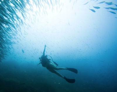 Nota sobre Bucear en Los Cabos