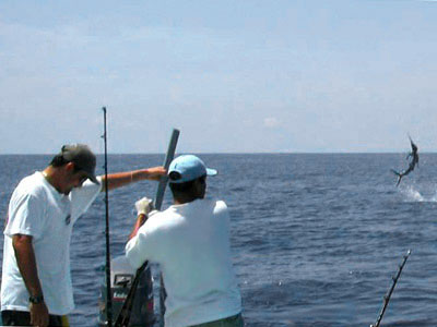 Nota sobre Pesca deportiva en Ixtapa Zihuatanejo