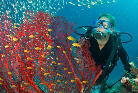 Nota sobre Buceo