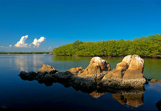 Nota sobre Lagunas de Manialtepec en Puerto Escondido 