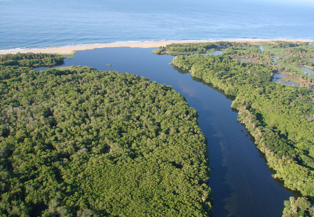 Nota sobre Lagunas de Manialtepec en Puerto Escondido 