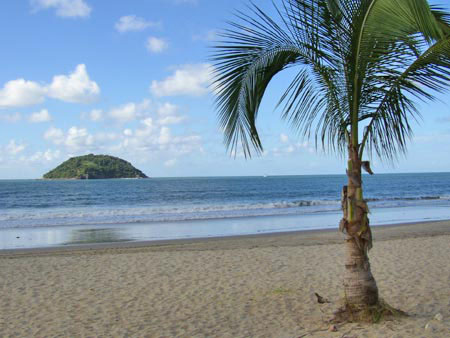 Nota sobre La mágica playa de Rincón de Guayabitos 