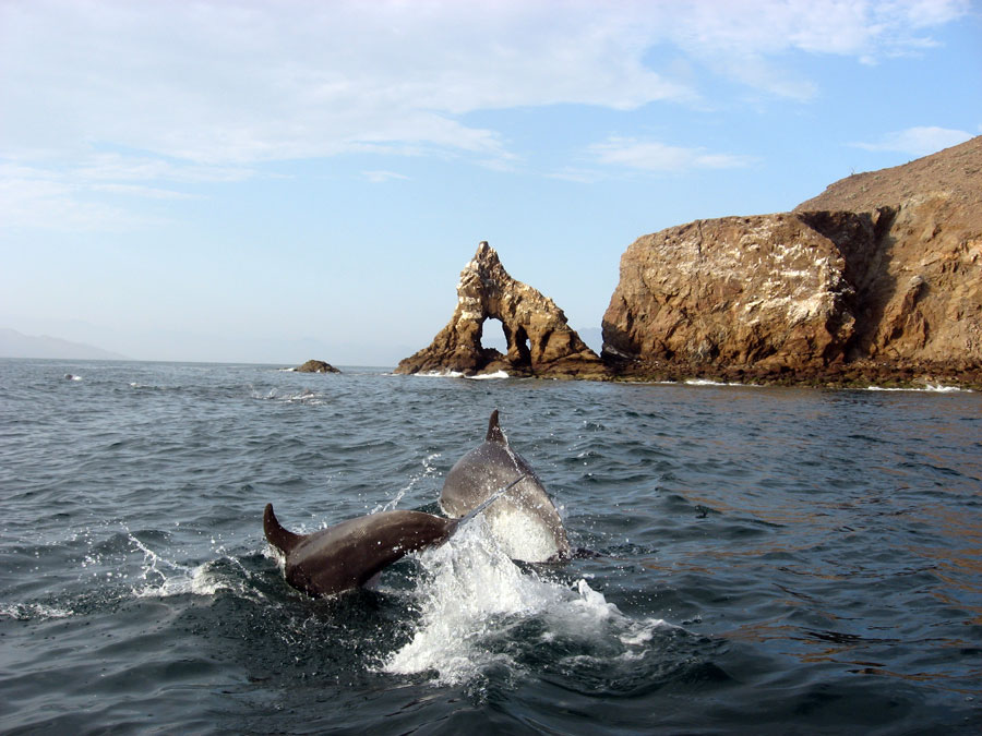 Nota sobre Ecoturismo en Bahía de los Ángeles