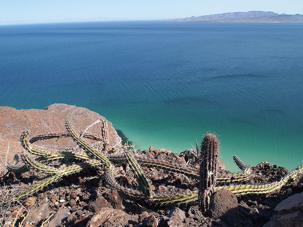 Nota sobre Playas de la Paz en Baja California Sur