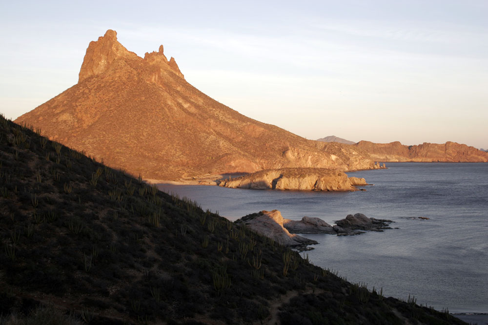 Nota sobre Vive las playas de Sonora y más